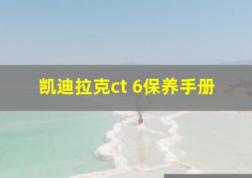 凯迪拉克ct 6保养手册